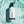 Anti Hair Fall Shampoo - Venus Aesthetics 